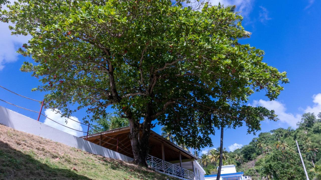 Dadam Samaná Hotel Exterior foto